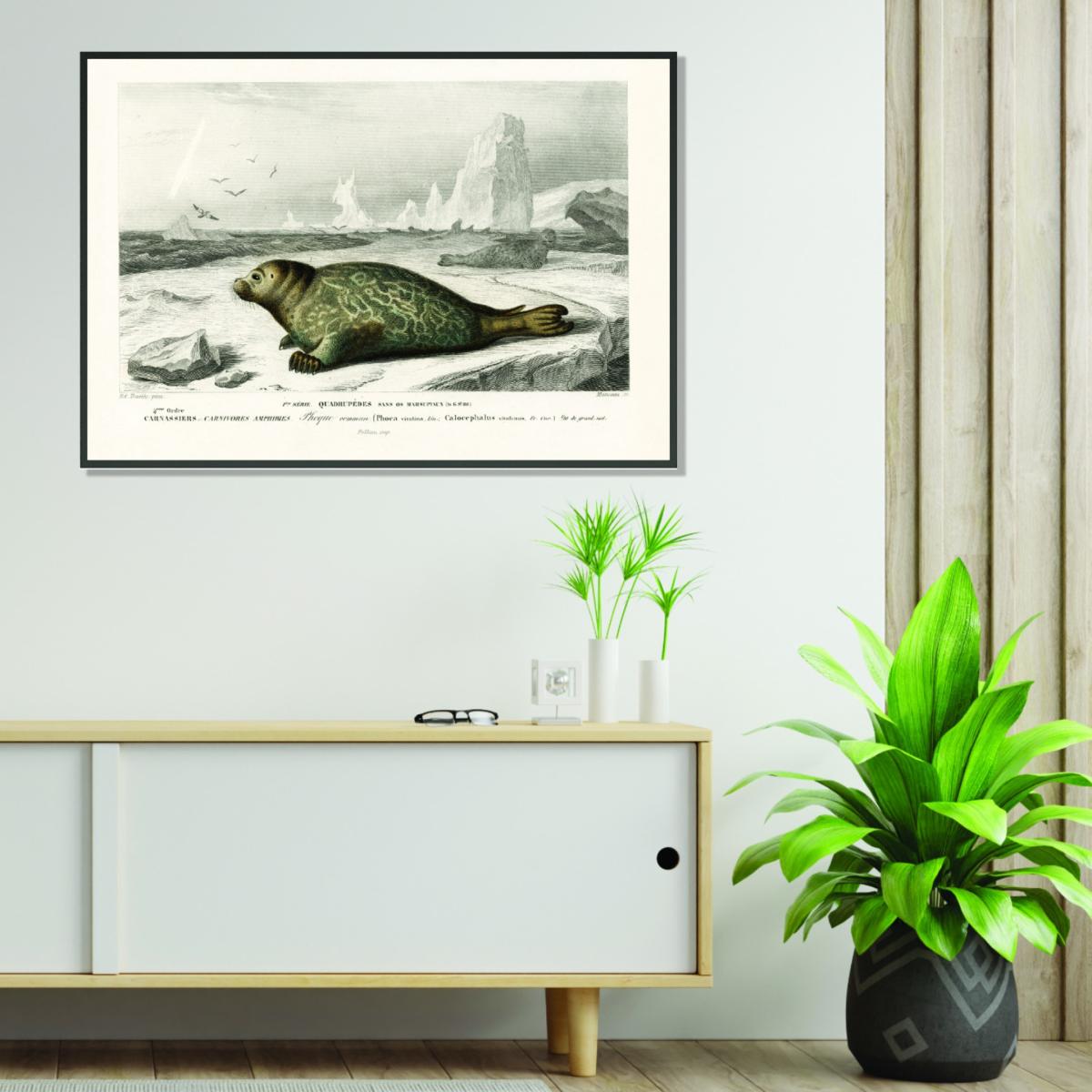 Grey Seal Small Stanley Print House – image 3