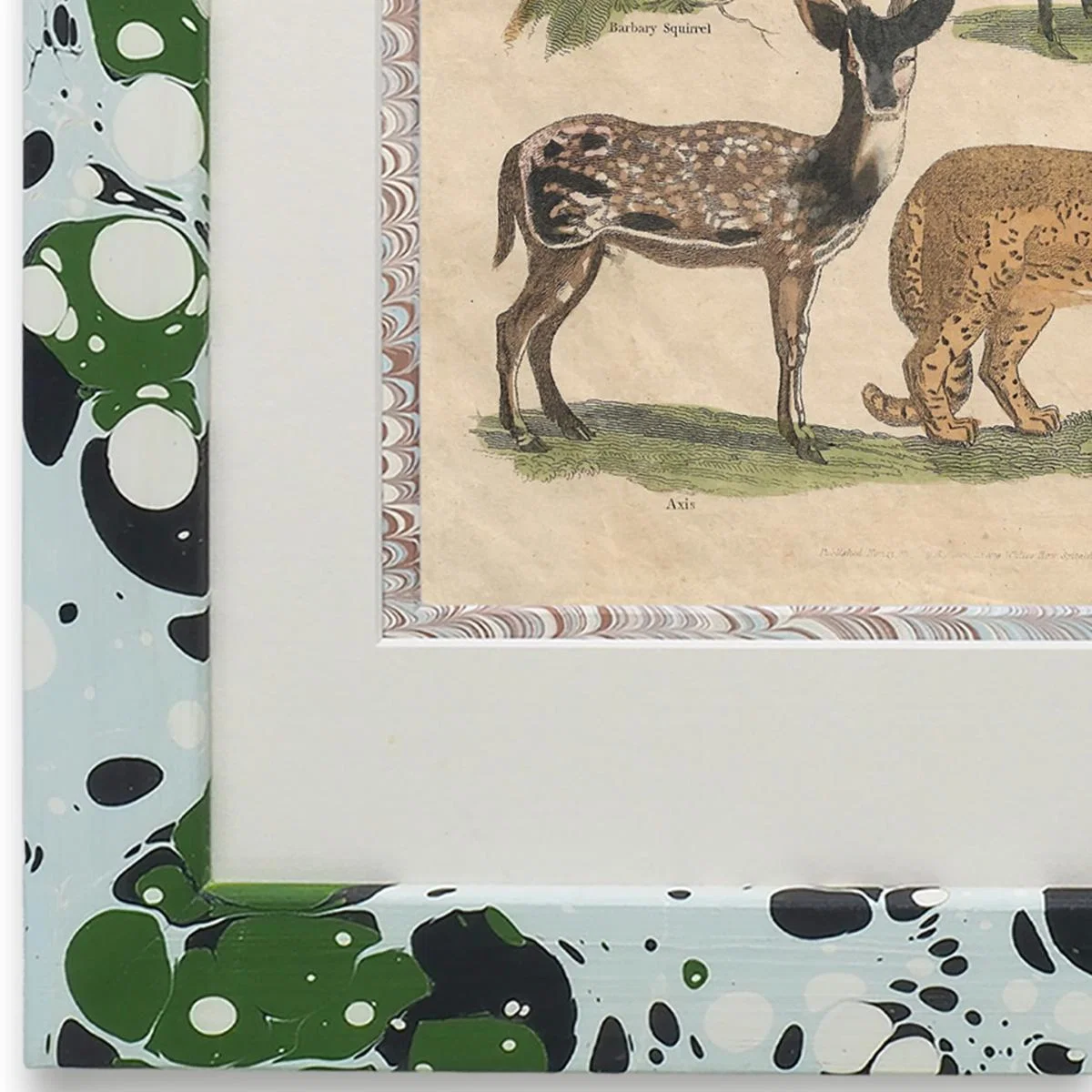 Green / Blue Buffon Print No. Three In Glacier Frame Wildmore – image 2