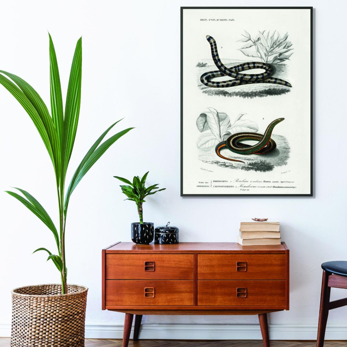 Anilius - Neutrals A1 594 X 841Mm Stanley Print House – image 3