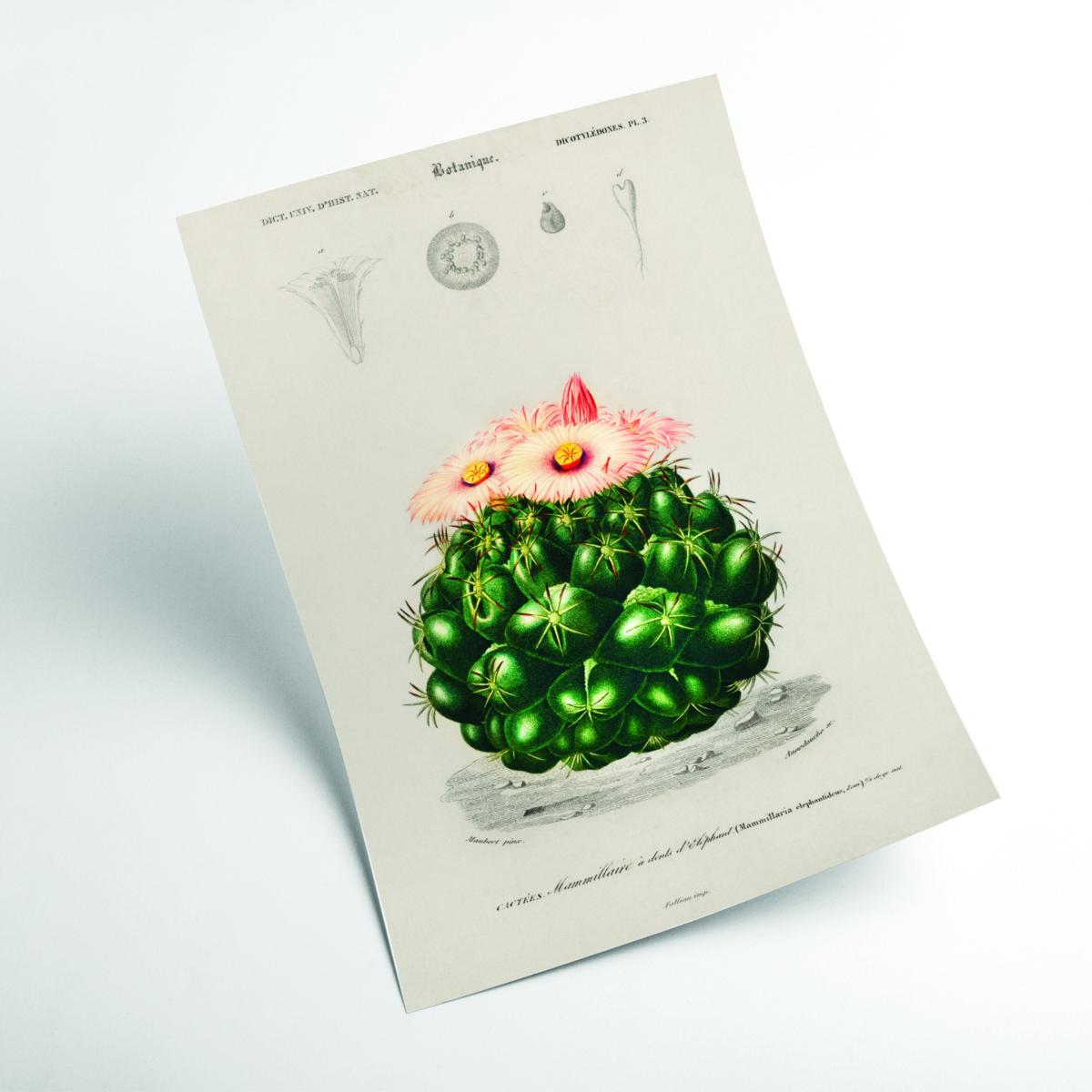Green Starry Ball A3 297 X 420Mm Stanley Print House – image 2