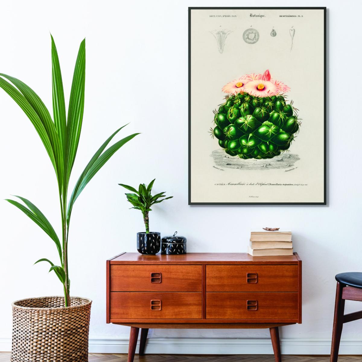 Green Starry Ball A3 297 X 420Mm Stanley Print House – image 3