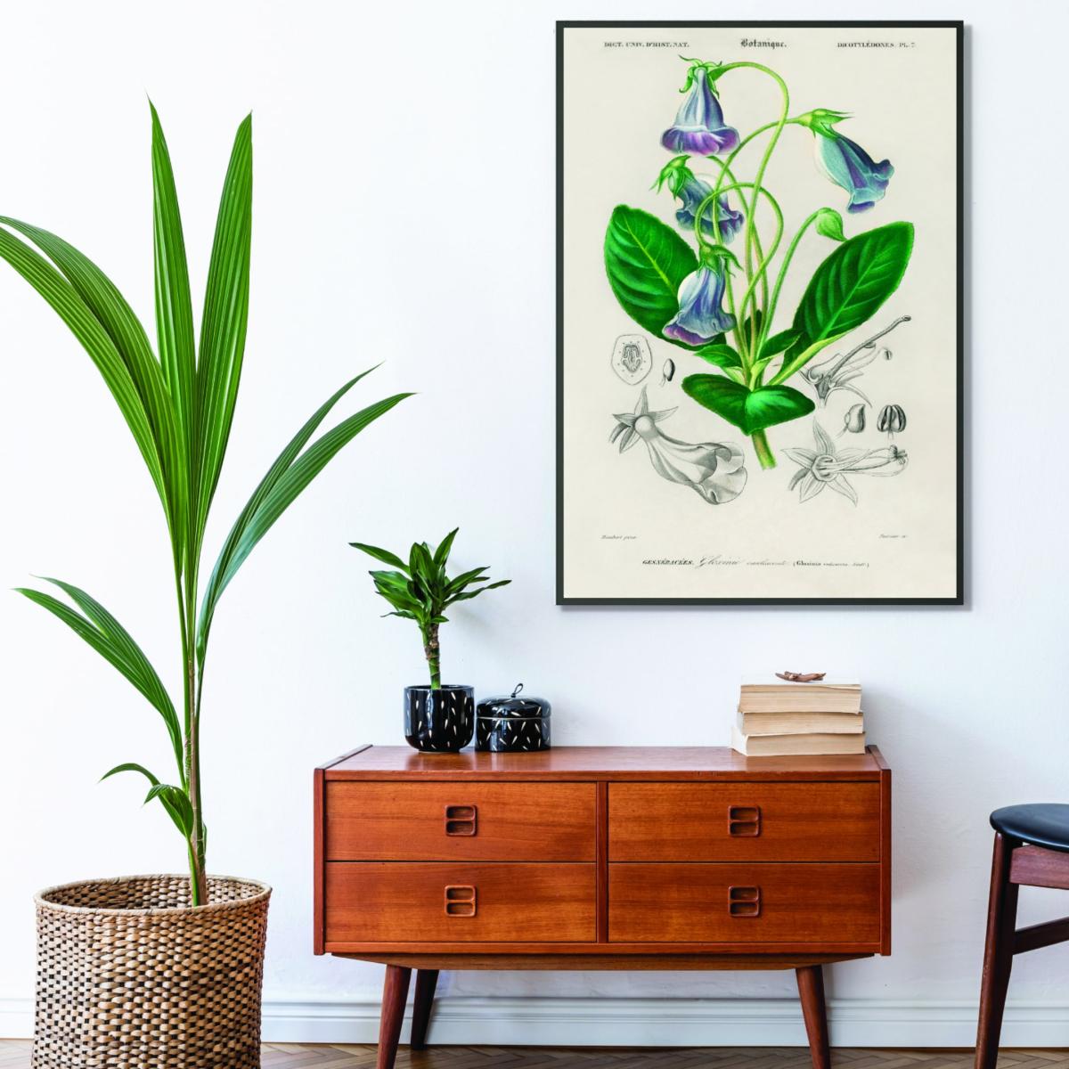 Green Brazilian Gloxinia Print A1 594 X 841Mm Stanley Print House – image 3