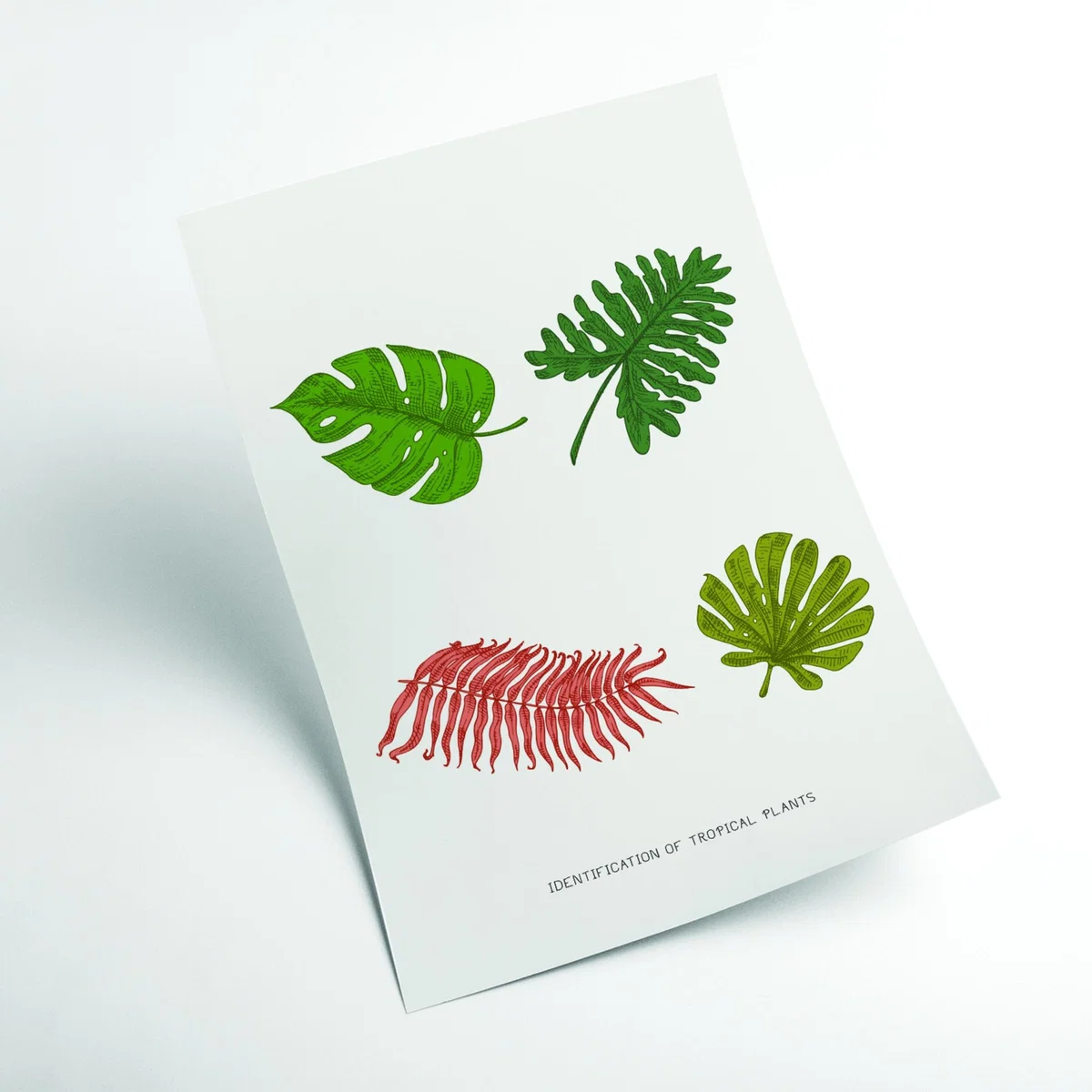 Green Identification Of Tropical Plants A2 420 X 594Mm Stanley Print House – image 2