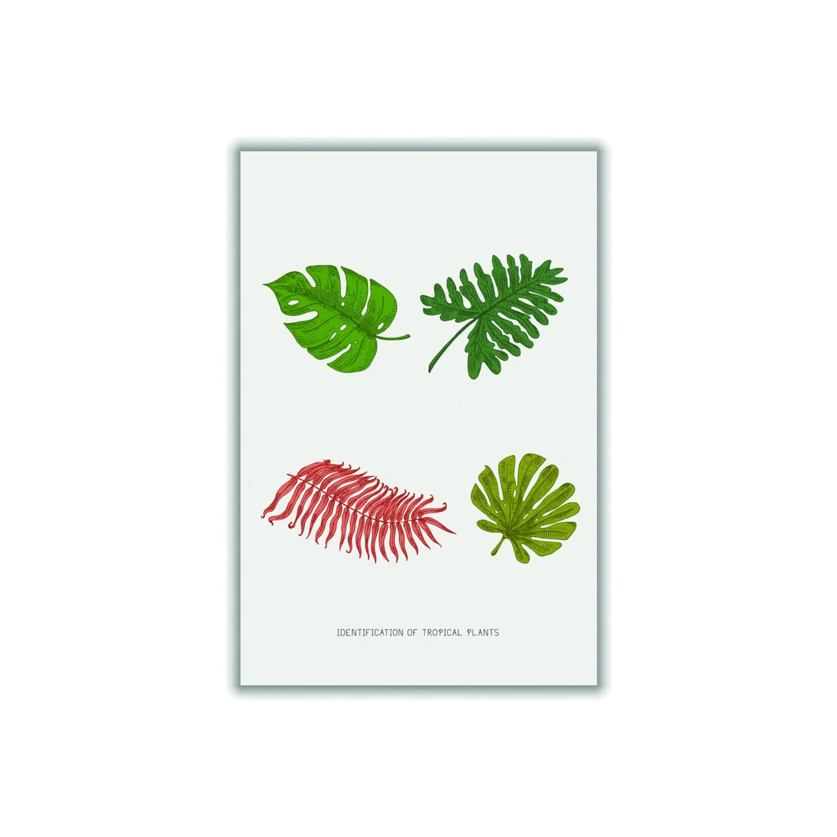 Green Identification Of Tropical Plants A2 420 X 594Mm Stanley Print House – image 1