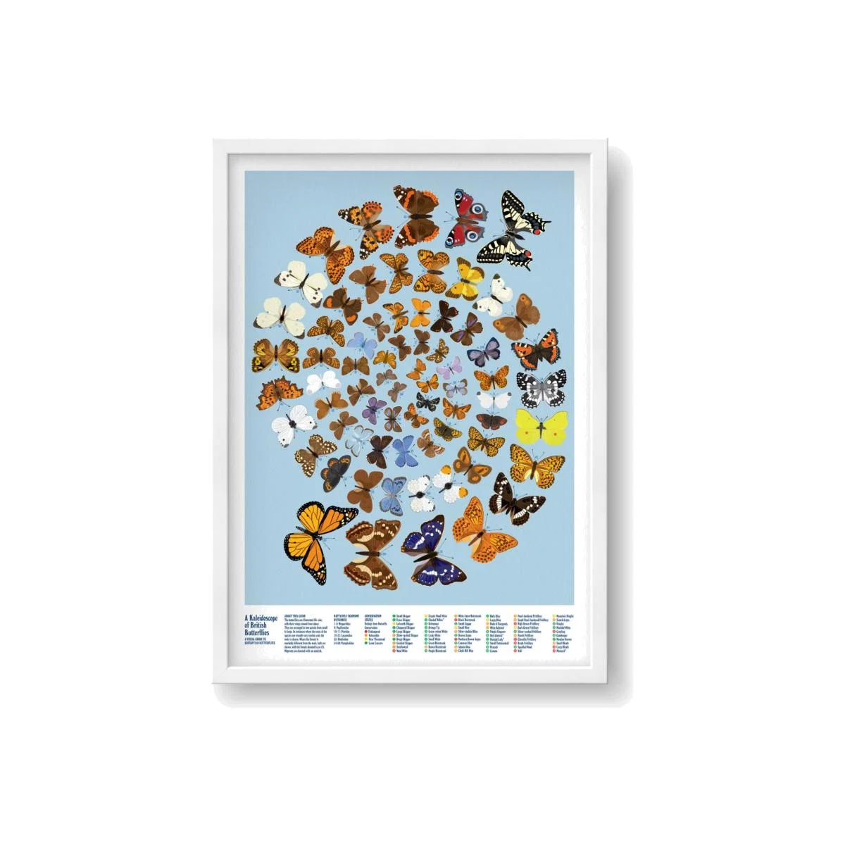 Blue A Kaleidoscope Of British Butterflies Print Stuart Gardiner Design