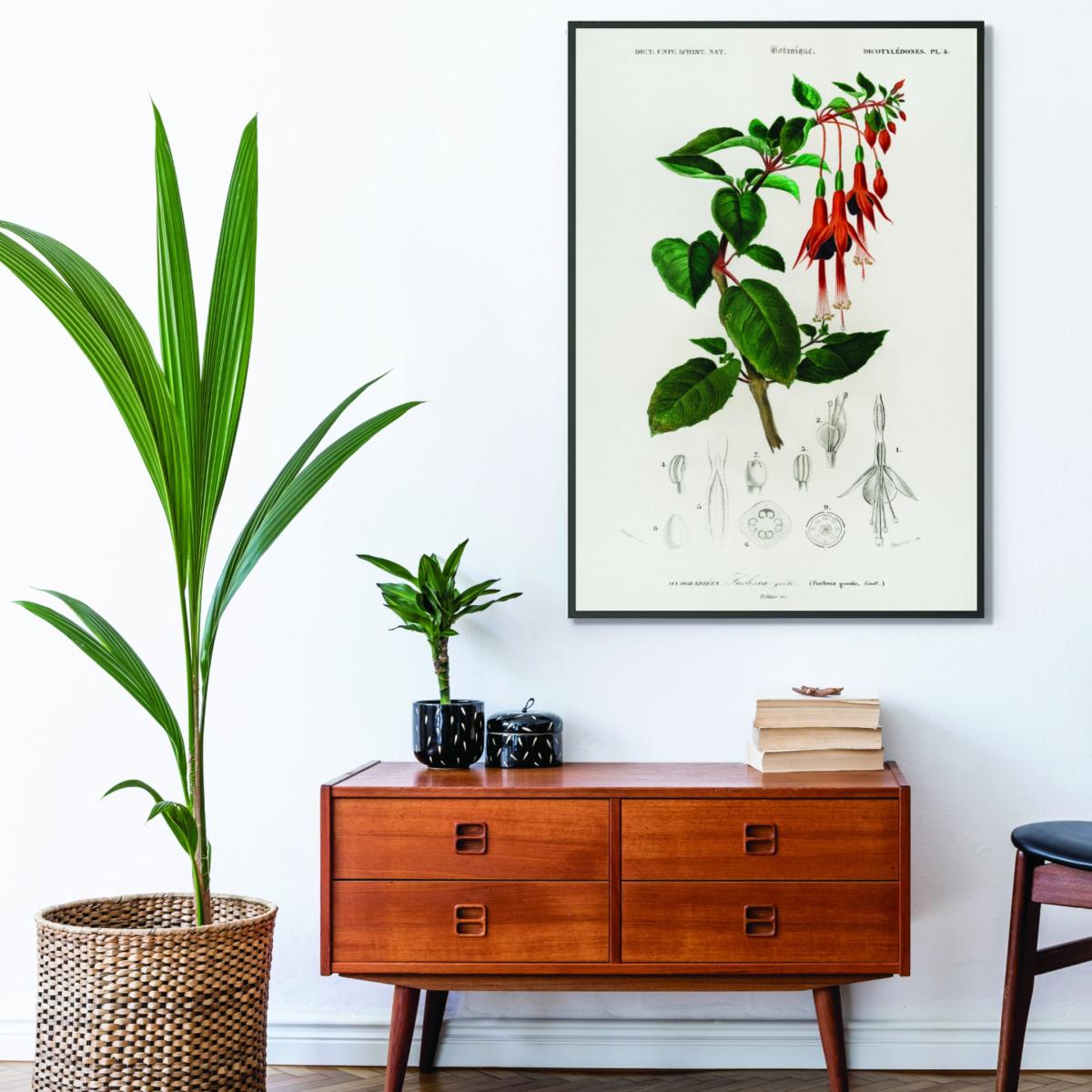 Hummingbird Print - Fuchsia A2 420 X 594Mm Stanley Print House – image 3