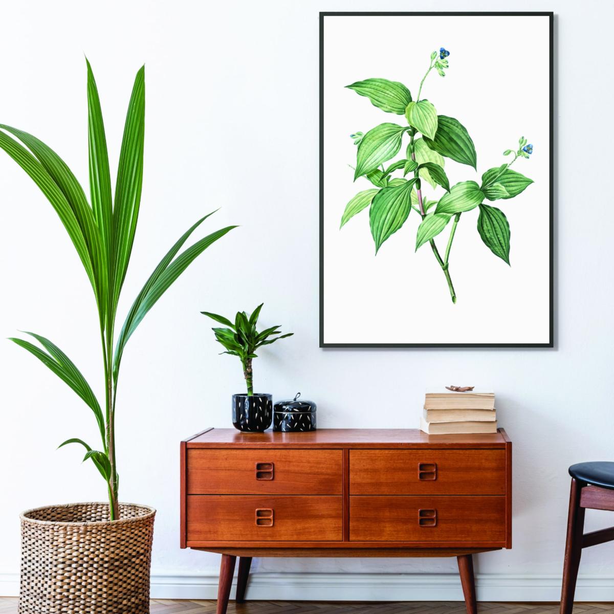 Green Vintage Botanical Plant A3 297 X 420Mm Stanley Print House – image 3