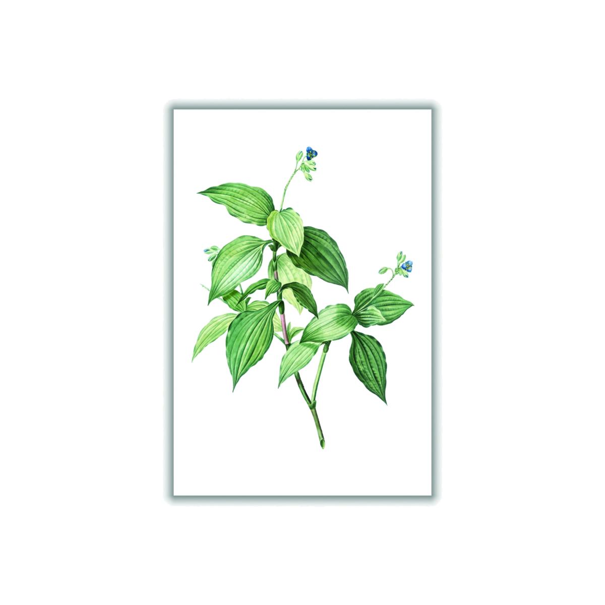 Green Vintage Botanical Plant A3 297 X 420Mm Stanley Print House – image 1