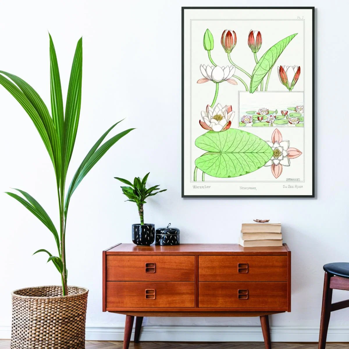 Green Nénuphar Water Lilies By Maurice Pillard Verneuil A4 210 X 297Mm Stanley Print House – image 3