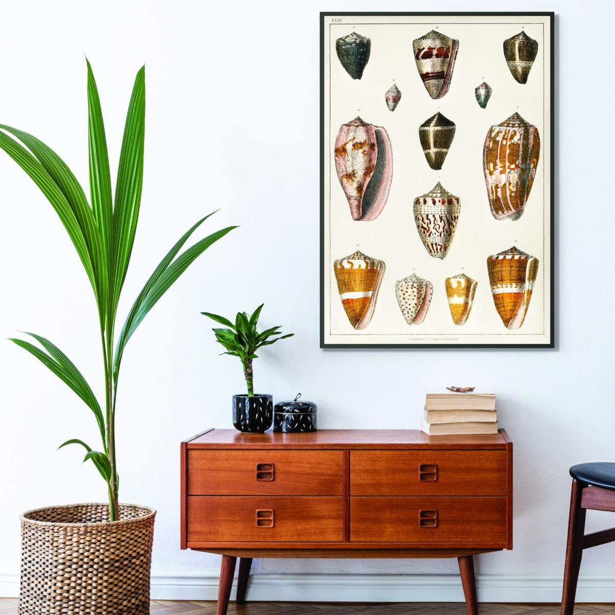 Yellow / Orange Collection Of Shells Print Small Stanley Print House – image 3