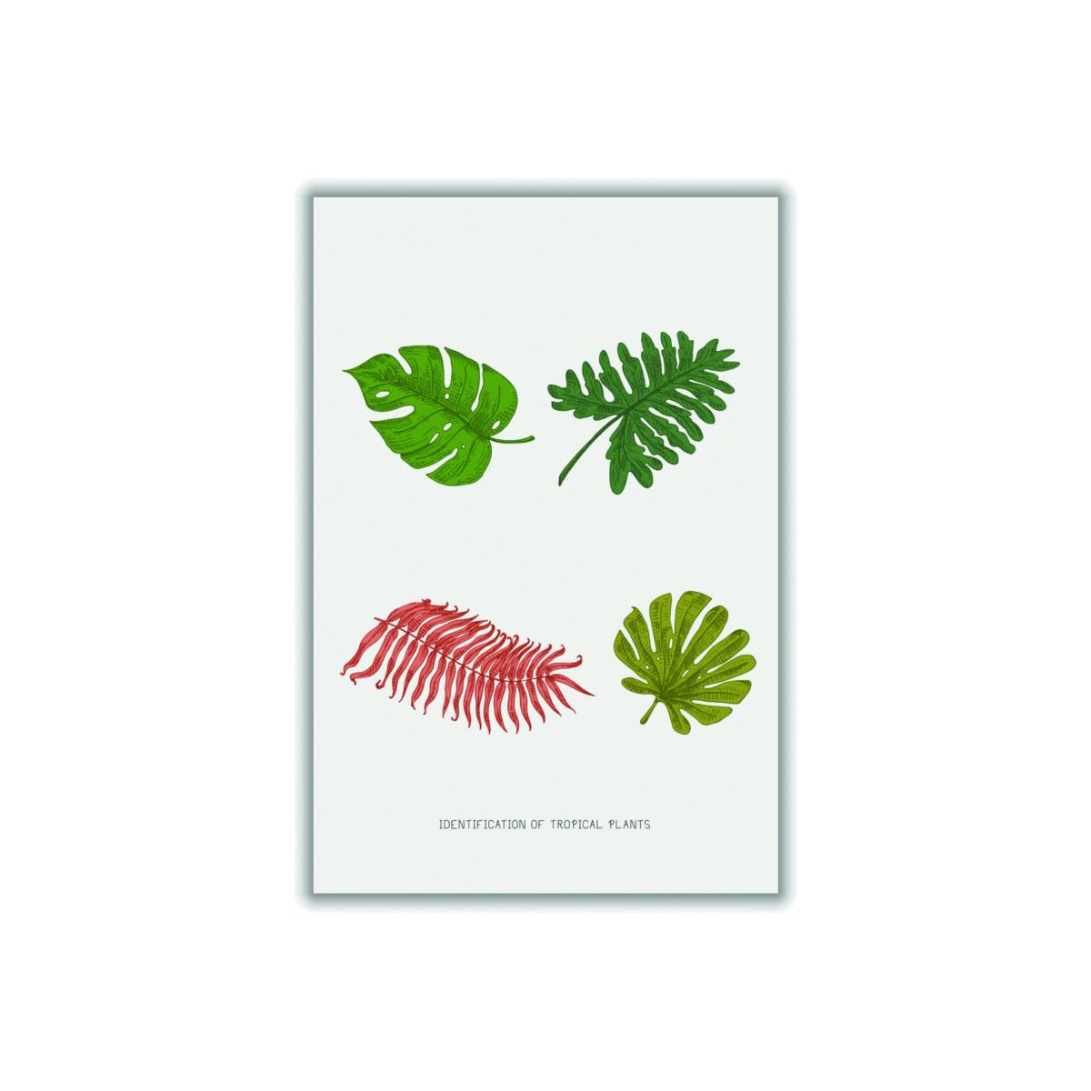 Green Identification Of Tropical Plants Medium Stanley Print House – image 1