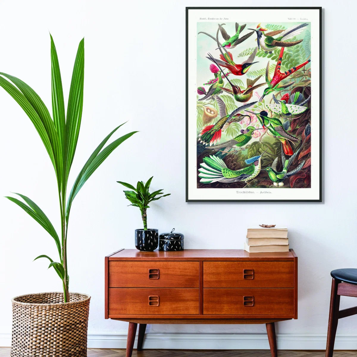 Trochilidae-Kolibris By Ernst Haeckel Extra Large Stanley Print House – image 3