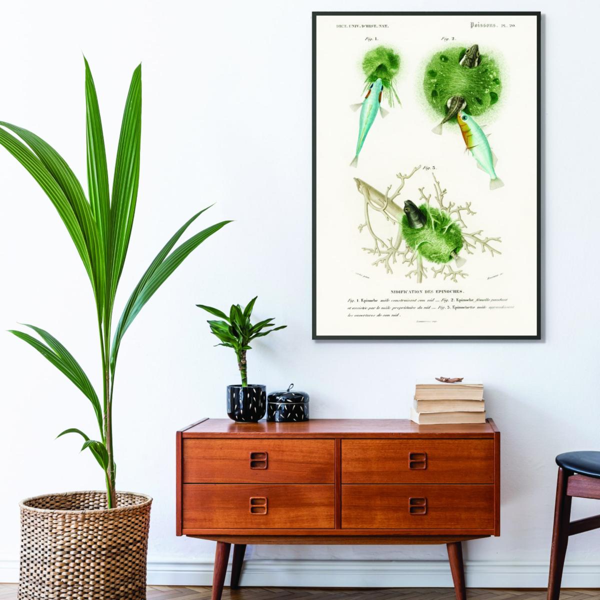 Green Gasterosteus Aculeatus Large Stanley Print House – image 3