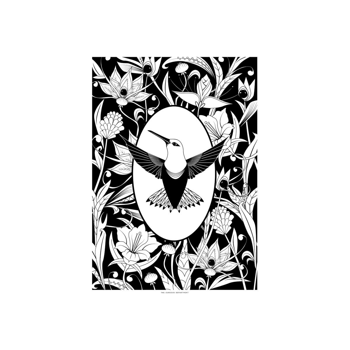 Black / White Elemental Hummingbird Print Black & White The Curious Department – image 1