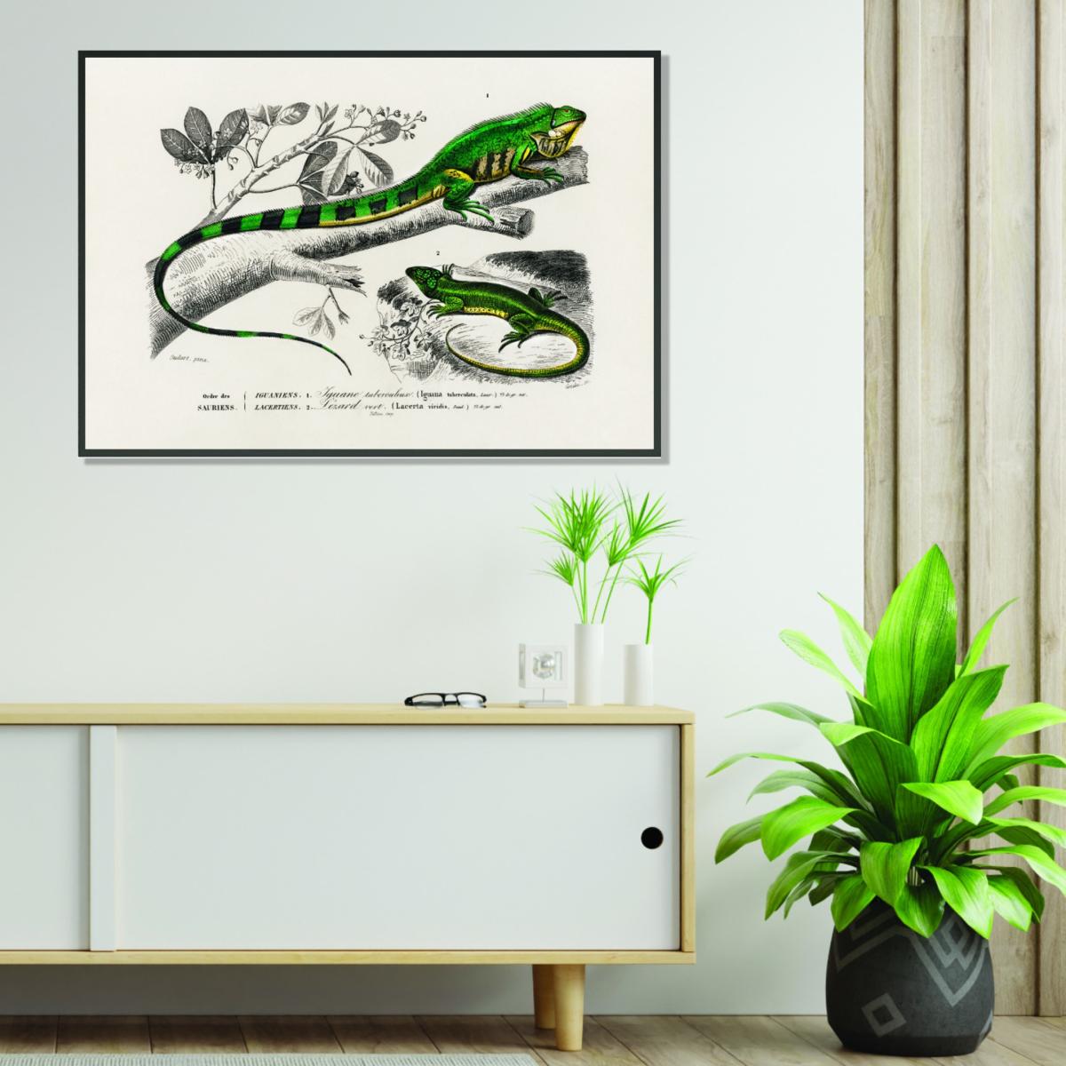 Green Lizard And Green Lizard Large Stanley Print House – image 3