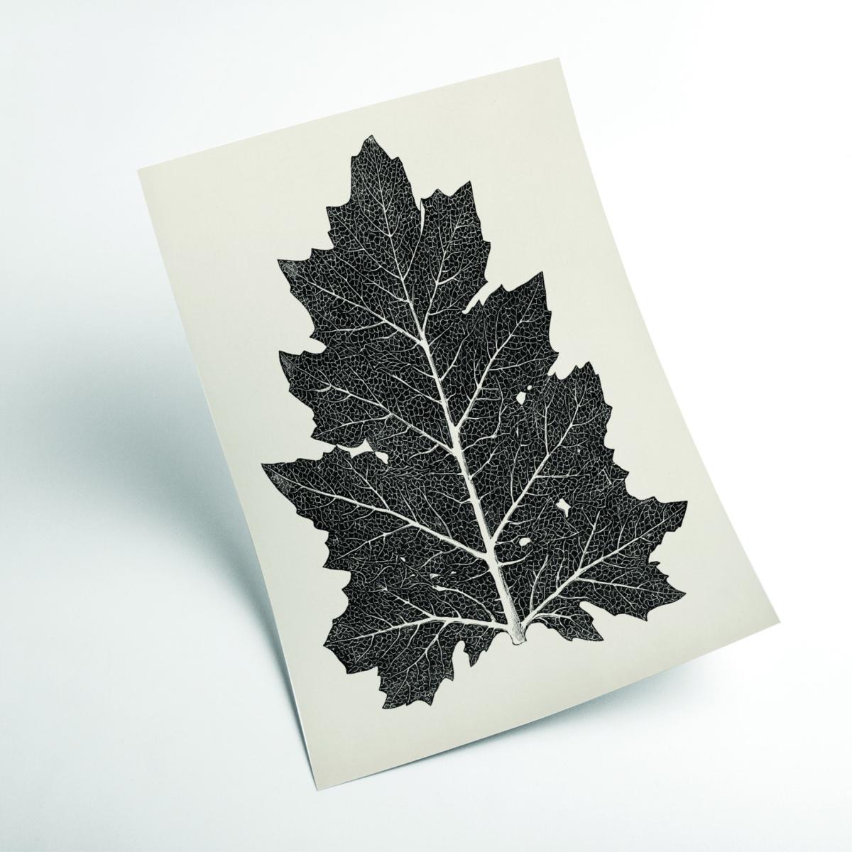 Black Vintage Leaf A1 594 X 841Mm Stanley Print House – image 2