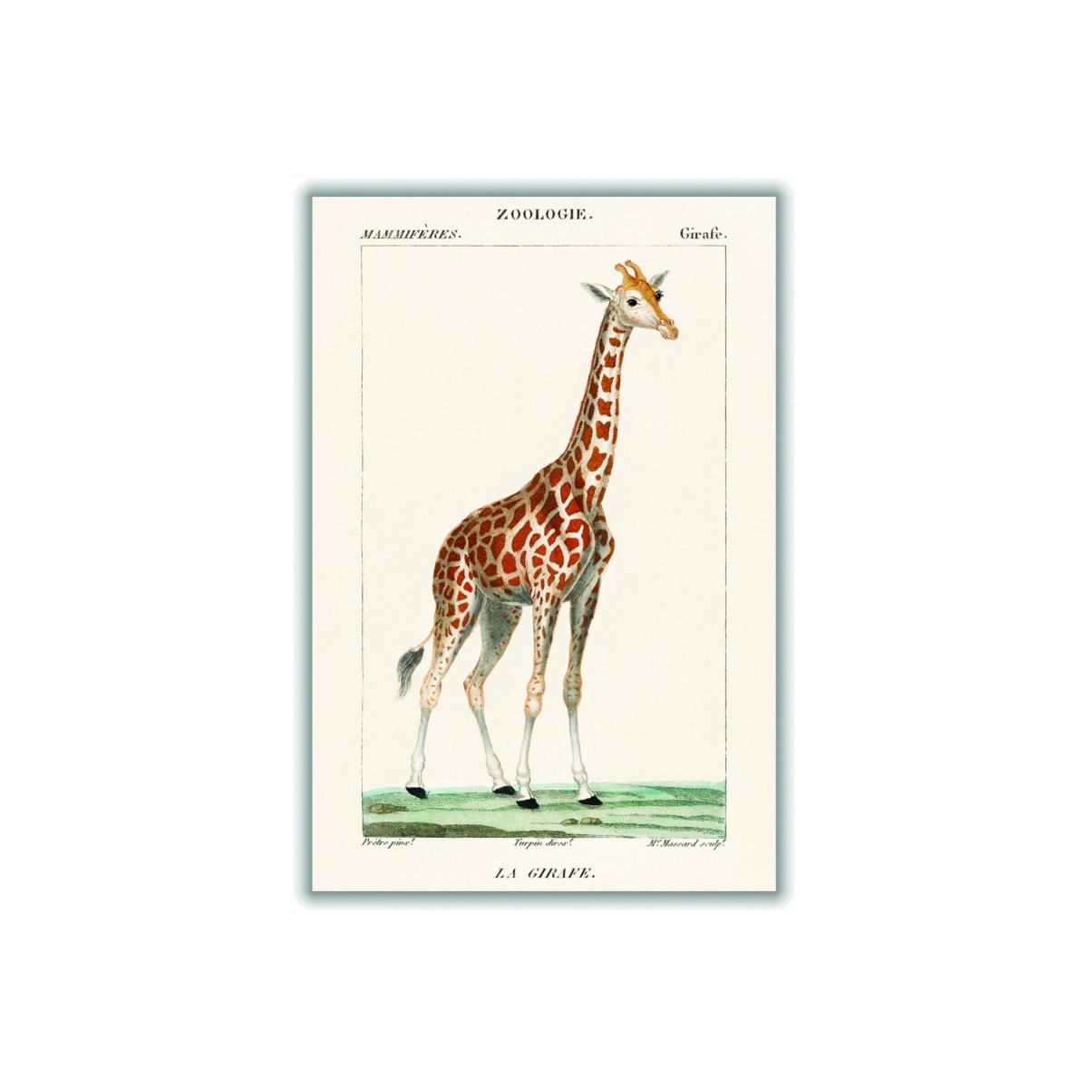 Gold Giraffe Illustration Large Stanley Print House – image 1