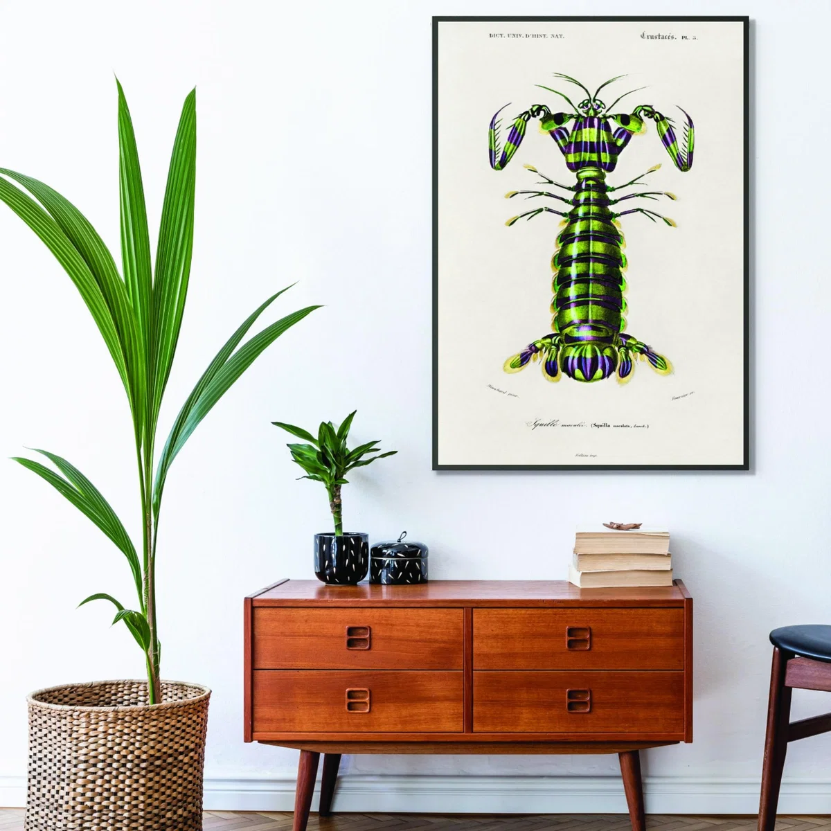 Green Giant Mantis Shrimp Print A1 594 X 841Mm Stanley Print House – image 3
