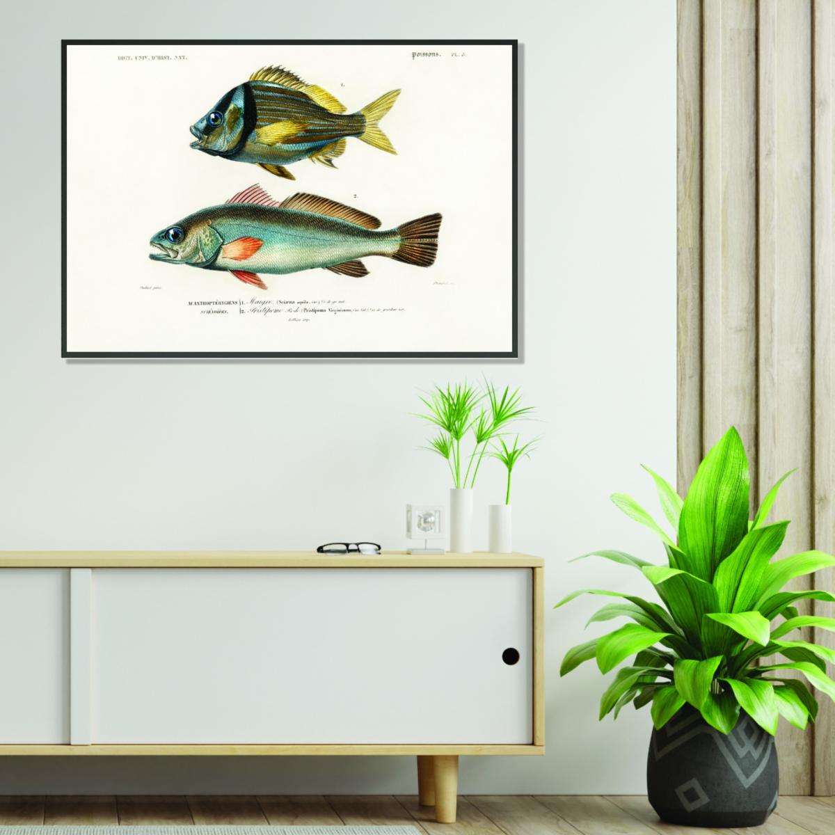 Porkfish Extra Large Stanley Print House – image 3