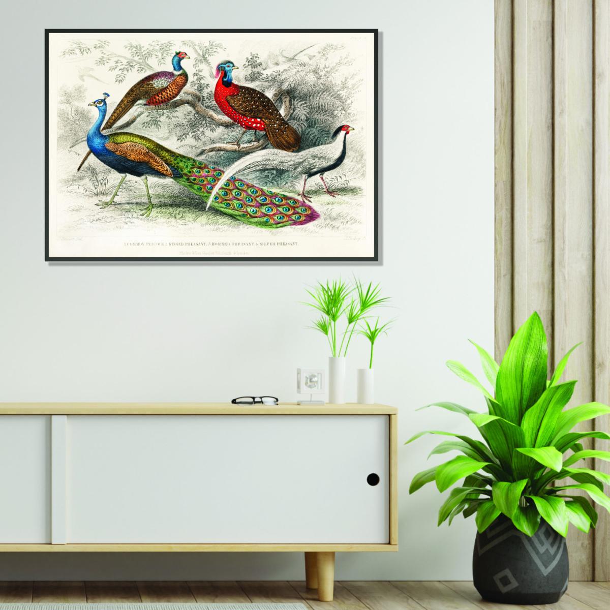 Colourful Birds A2 420 X 594Mm Stanley Print House – image 3