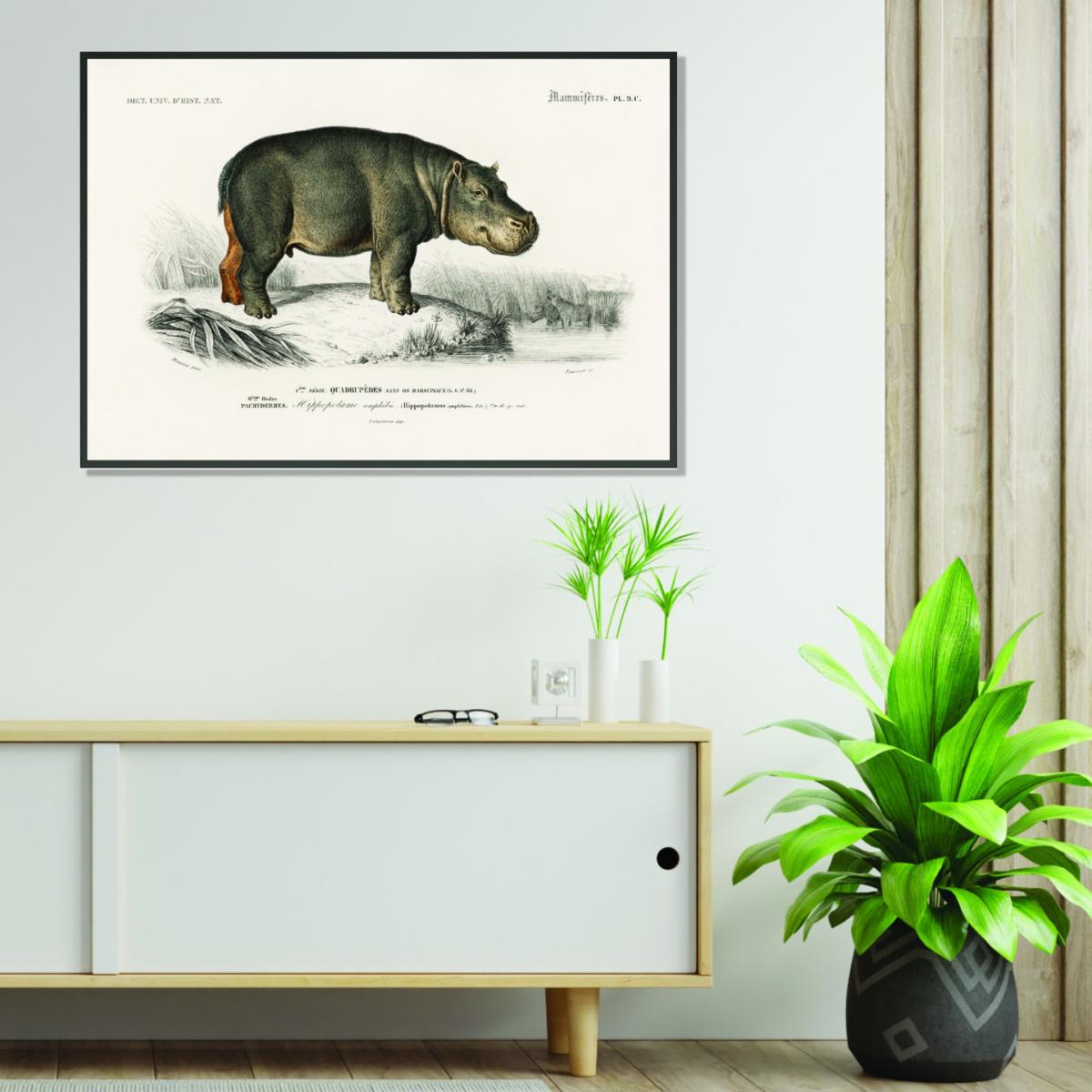 Grey Hippopotamus A3 297 X 420Mm Stanley Print House – image 3