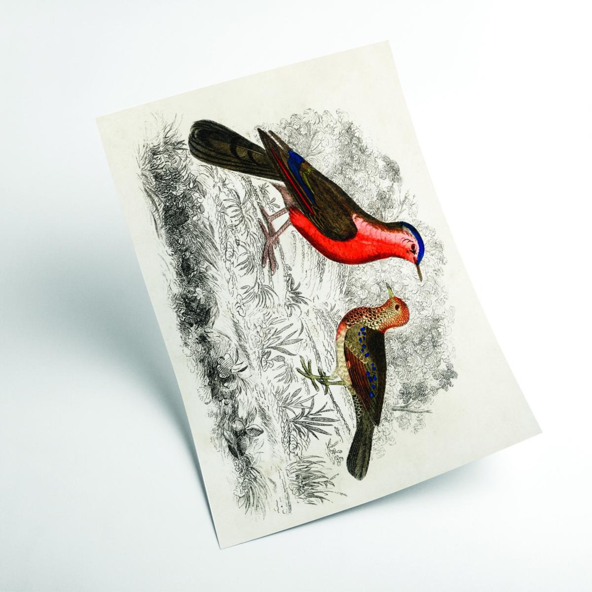 Yellow / Orange Hand Drawn Sketch Of Birds A3 297 X 420Mm Stanley Print House – image 2