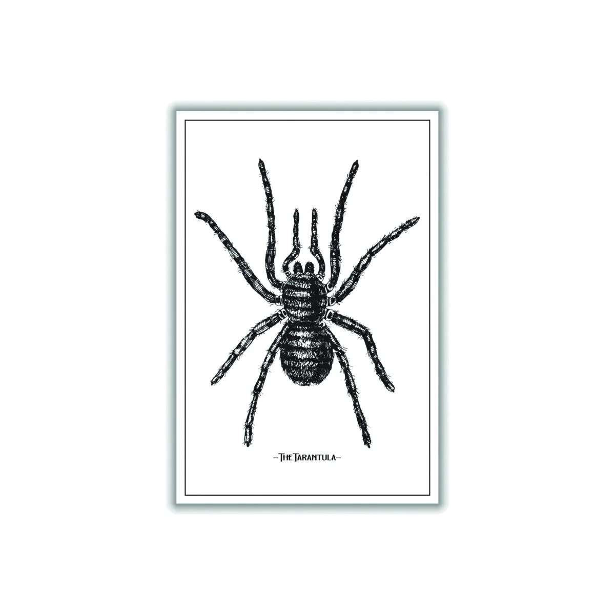 Black The Tarantula A3 297 X 420Mm Stanley Print House – image 1