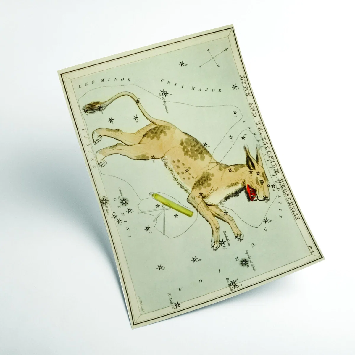 Gold Astronomical Chart Illustration Of Lynx And The Telescopium Herschilii Small Stanley Print House – image 2