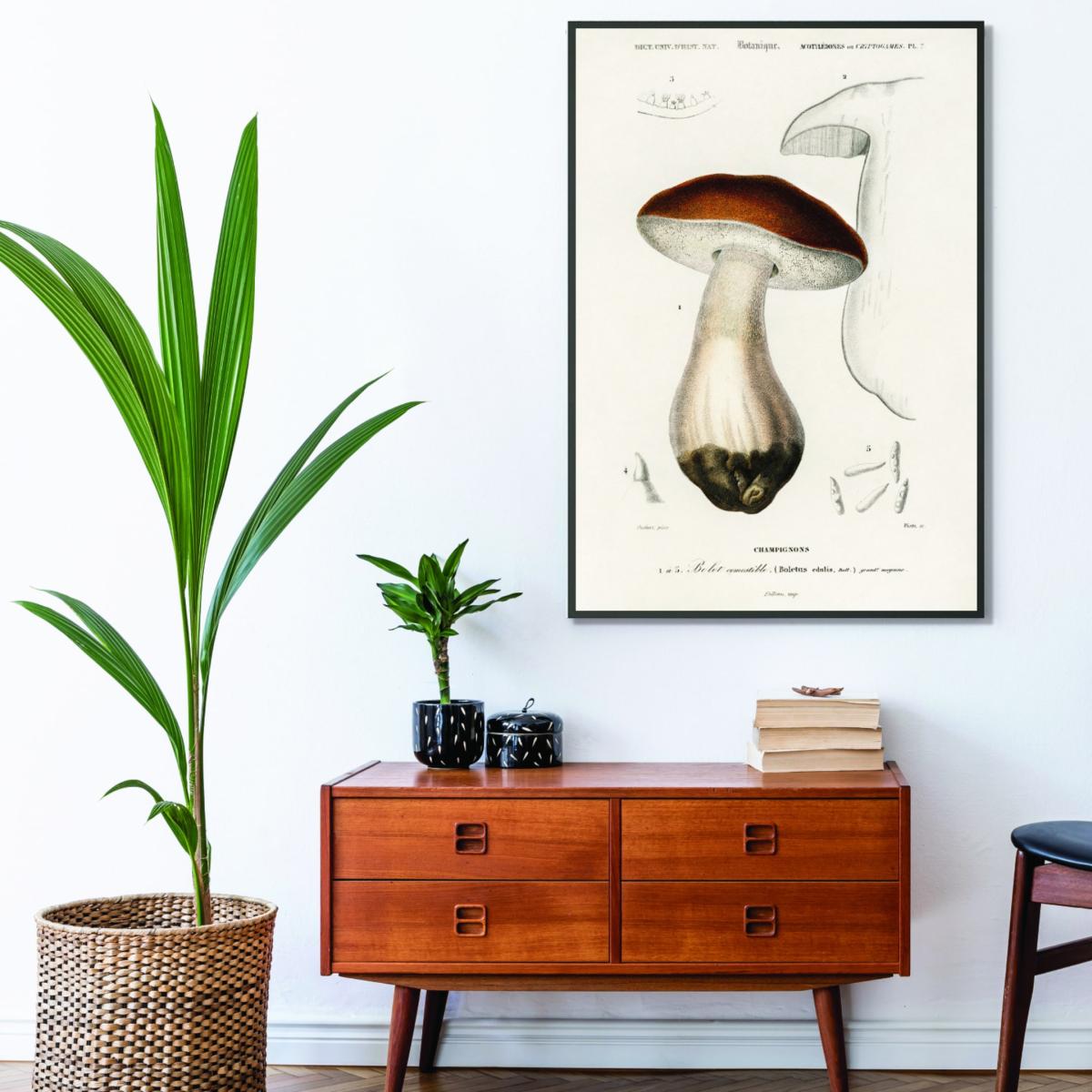 Brown Penny Bun A2 420 X 594Mm Stanley Print House – image 3