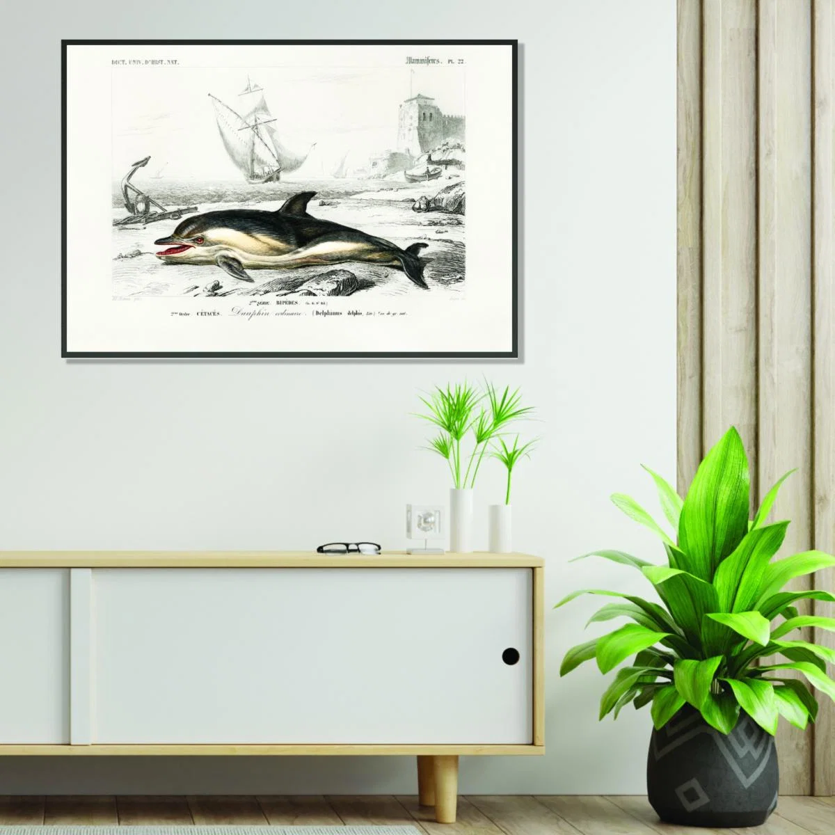 Black Delphinus Delphis Medium Stanley Print House – image 3
