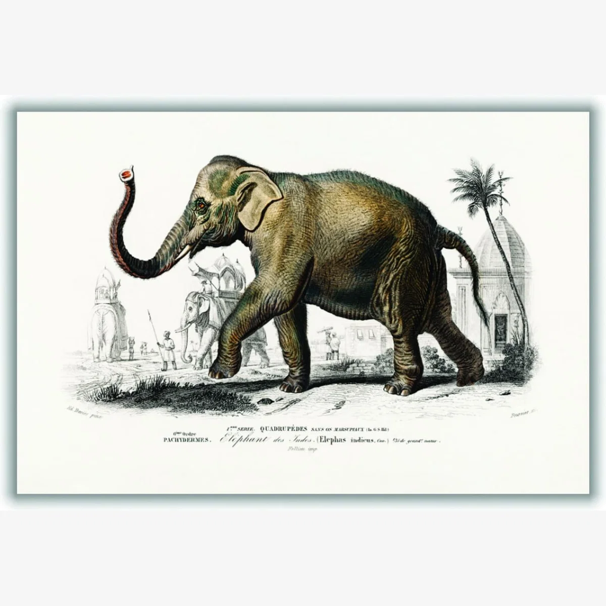Grey Elephant Small Stanley Print House – image 1