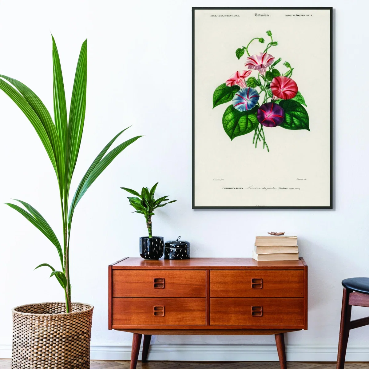 Morning Glory Xxs Stanley Print House – image 3
