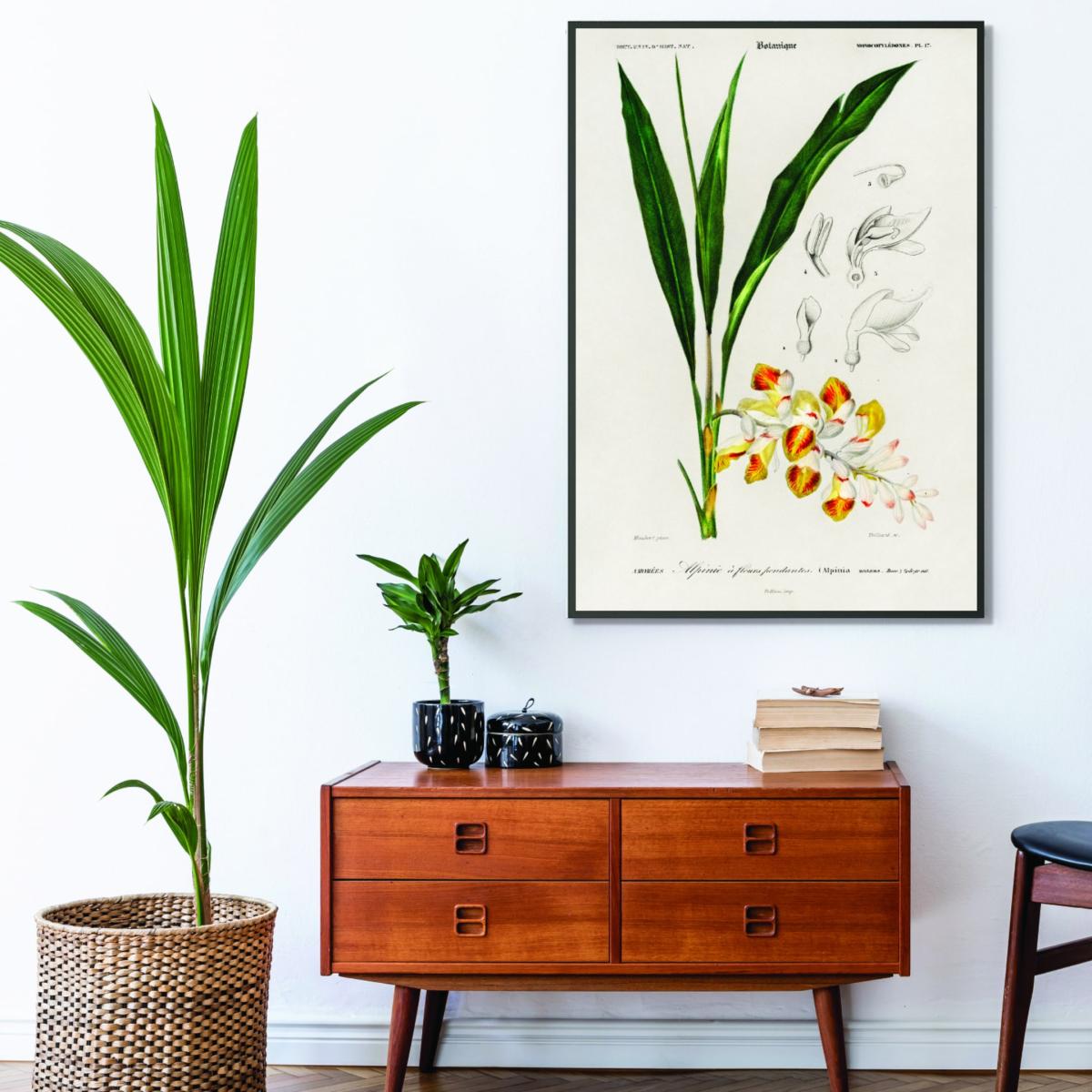 Green Dwarf Cardamom Print Extra Small Stanley Print House – image 3