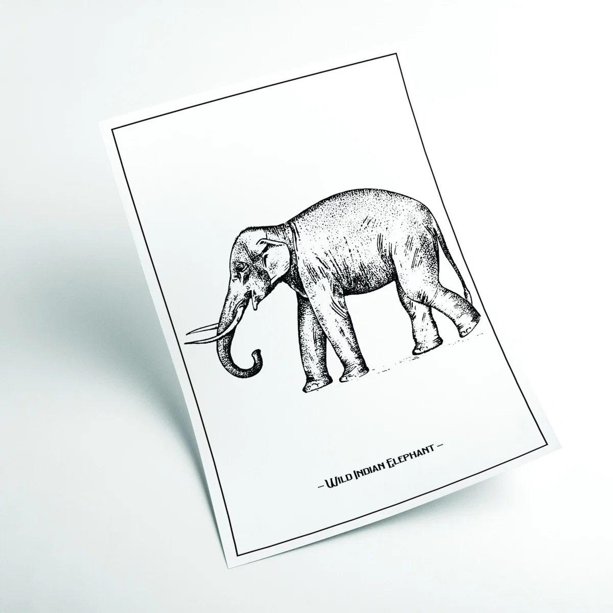 Black Wild Indian Elephant A1 594 X 841Mm Stanley Print House – image 2