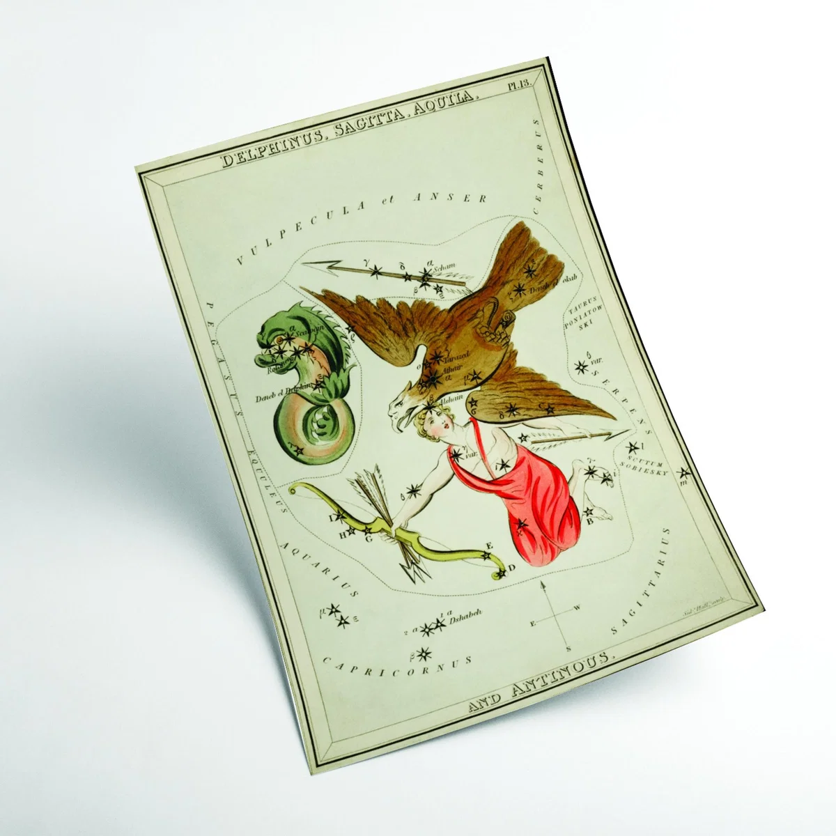 Yellow / Orange Astronomical Chart Illustration Of The Delphinus - Sagitta - Aquila A4 210 X 297Mm Stanley Print House – image 2