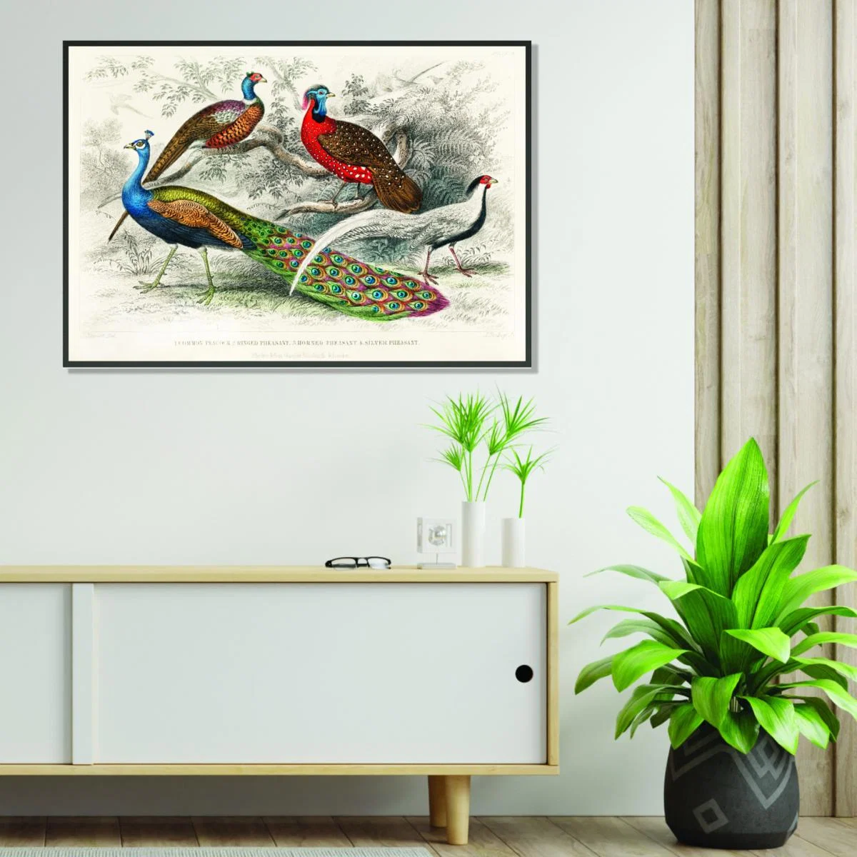 Colourful Birds A3 297 X 420Mm Stanley Print House – image 3