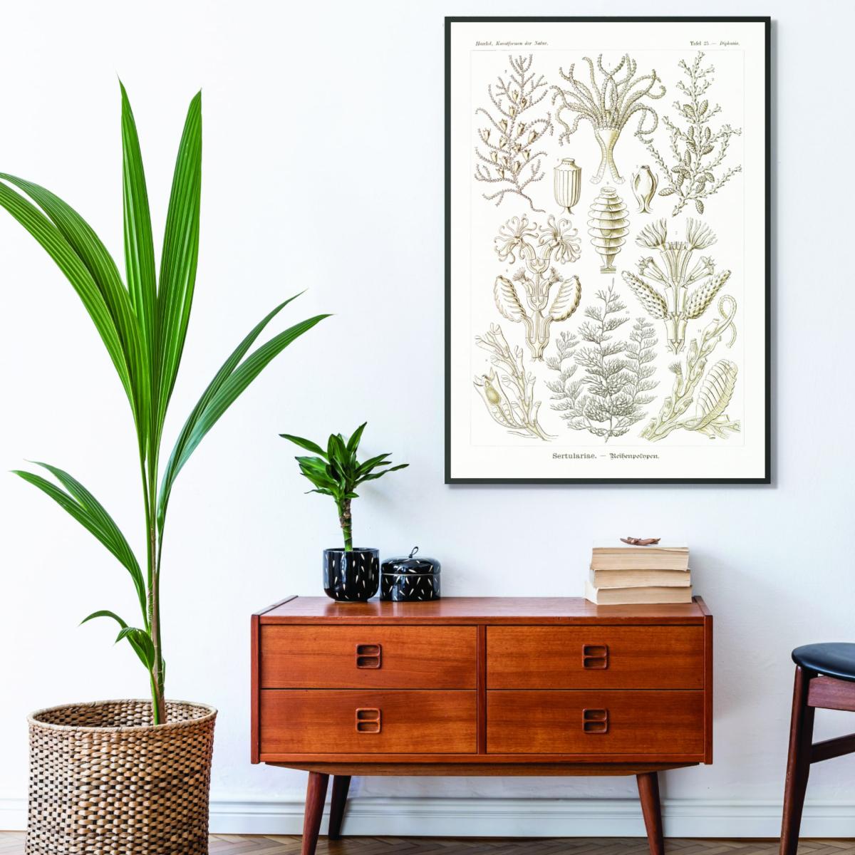 Neutrals Sertulariae-Reihenpolnpen By Ernst Haeckel A4 210 X 297Mm Stanley Print House – image 3
