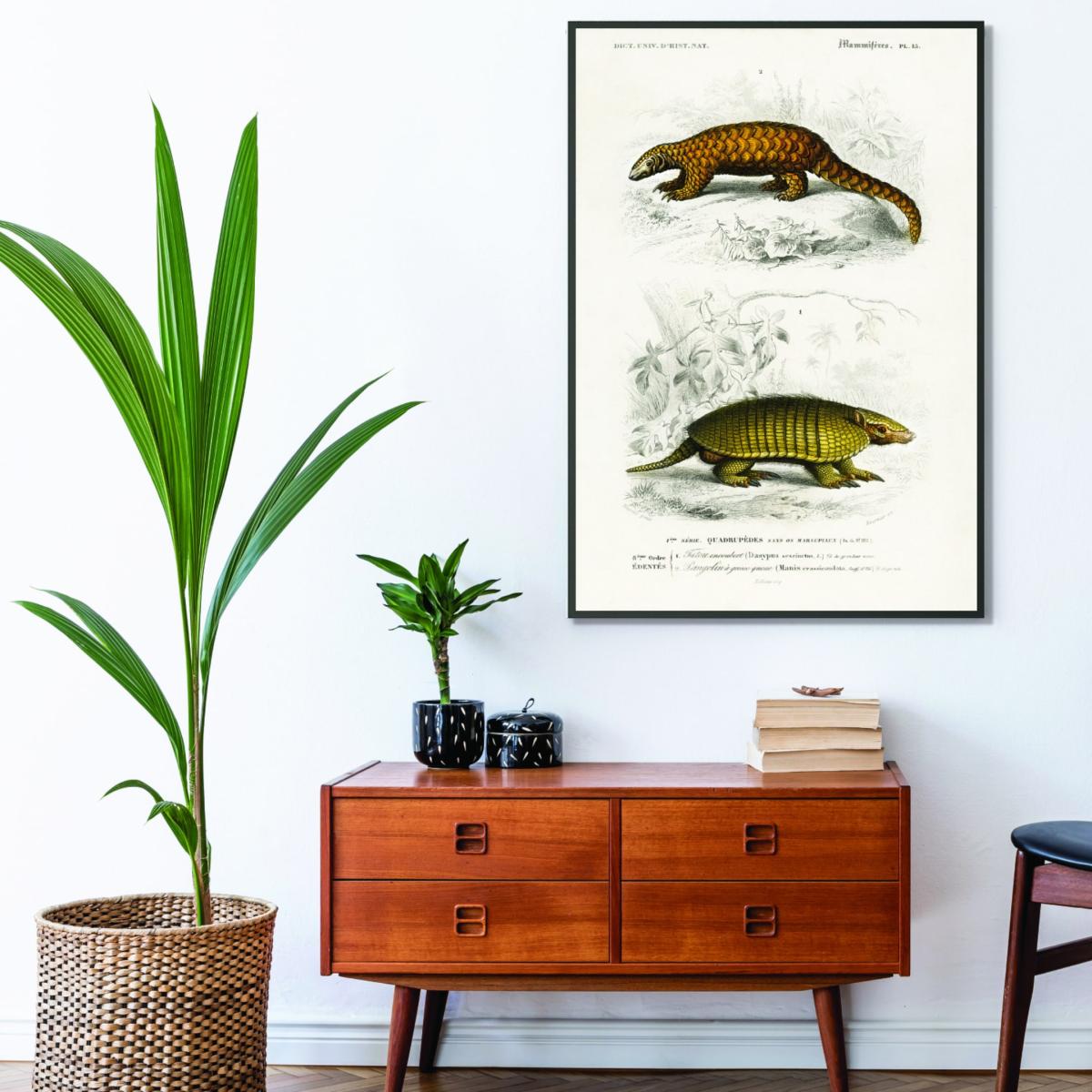 Yellow Armadillo And Indian Pangolin A4 210 X 297Mm Stanley Print House – image 3