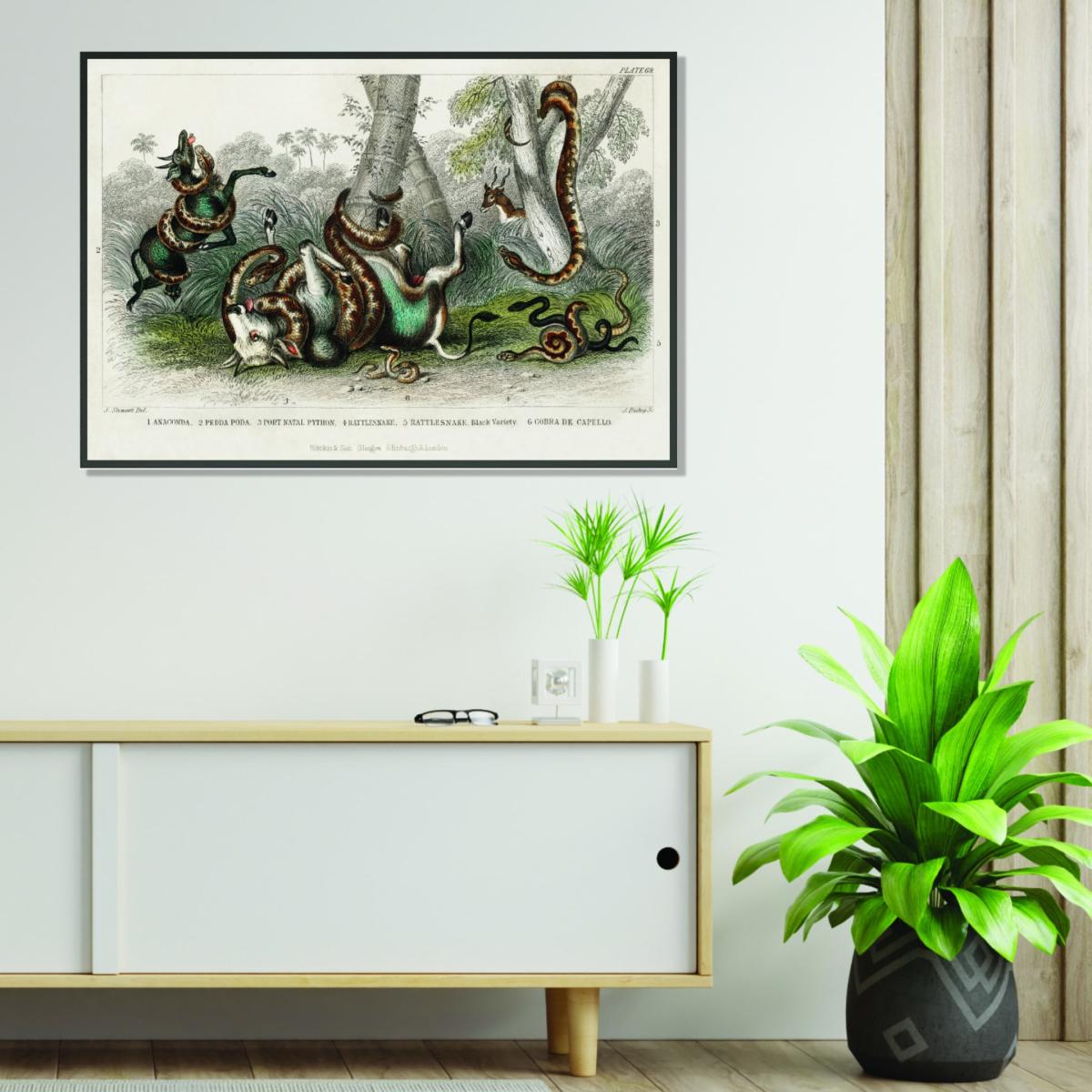 Neutrals Various Snakes Xxs Stanley Print House – image 3