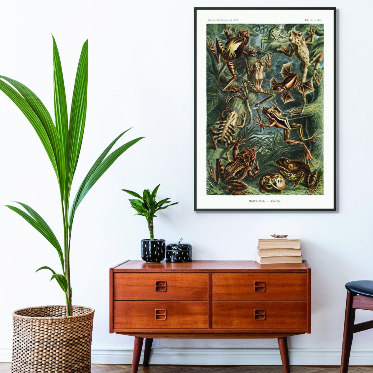 Gold Batrachia-Frösche By Ernst Haeckel A1 594 X 841Mm Stanley Print House – image 3