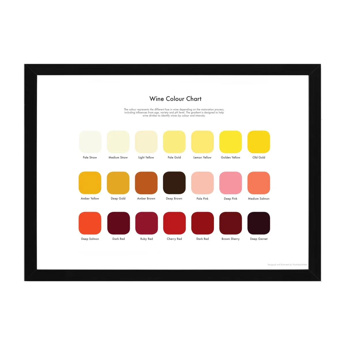 Wine Tasting Colour Map Studio Story – image 1