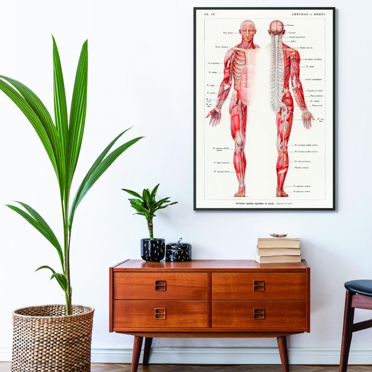 Red Human Nervous System Small Stanley Print House – image 3