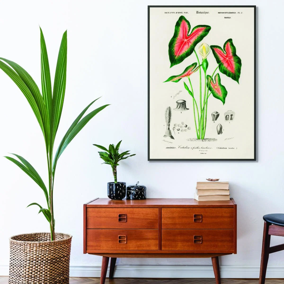 Elephant Ear Print A4 210 X 297Mm Stanley Print House – image 3
