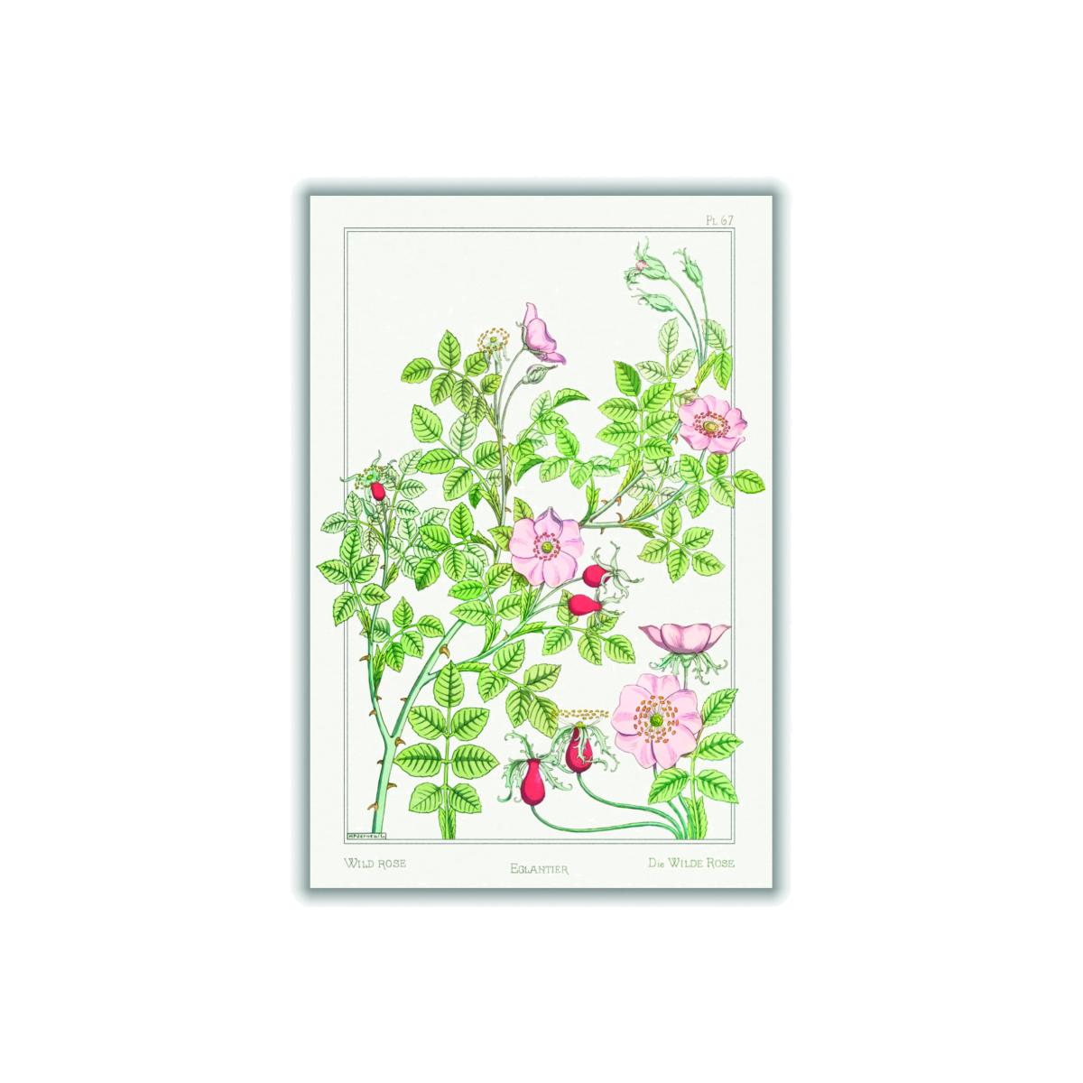 Green Eglantier Print By Maurice Pillard Verneuil Extra Small Stanley Print House – image 1