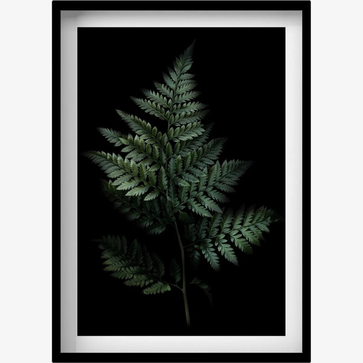 Black / Green Fern Print A3 297 X 420Mm Francesca Wild – image 1
