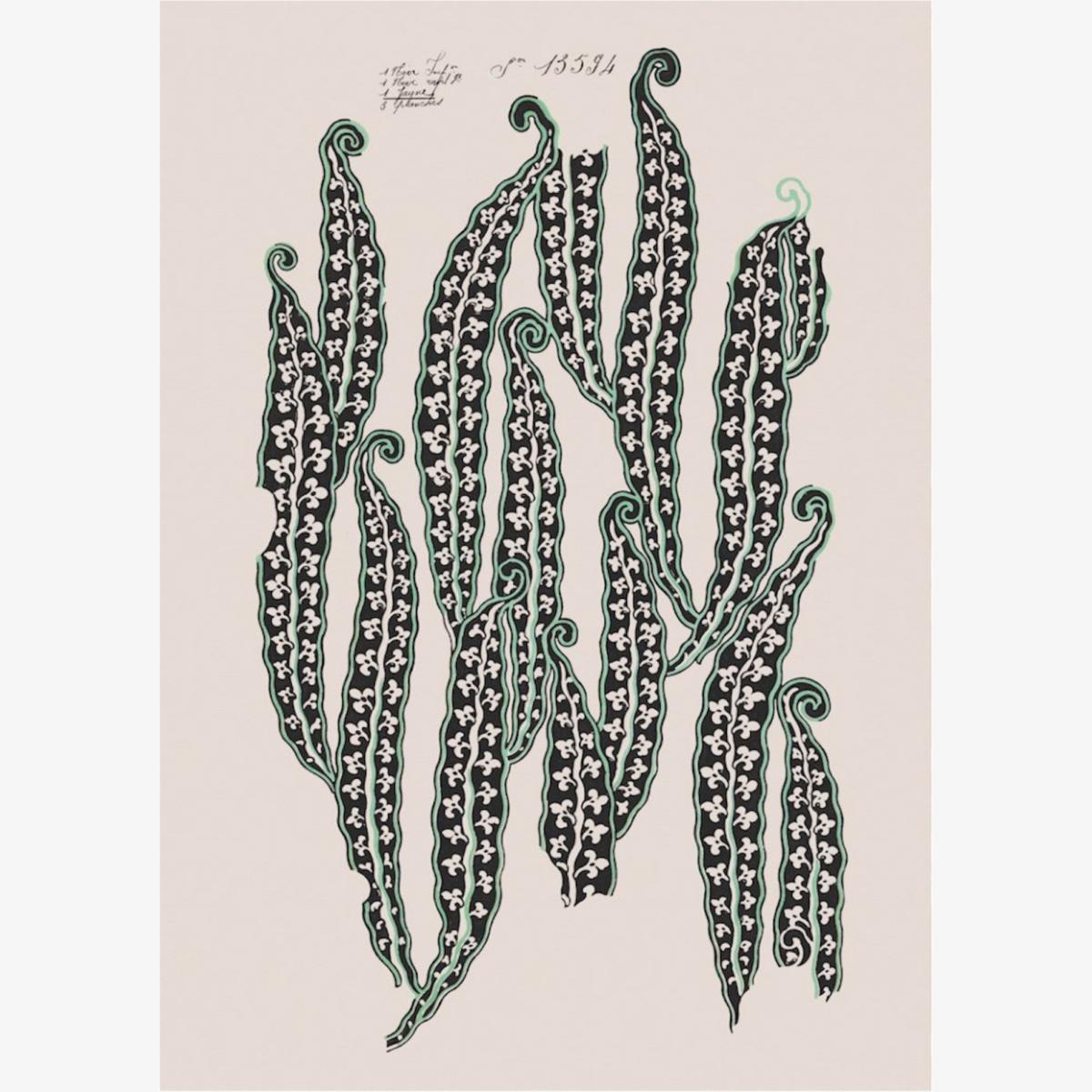 Magic Beans Ii - Multicolour Print~Sisters – image 1