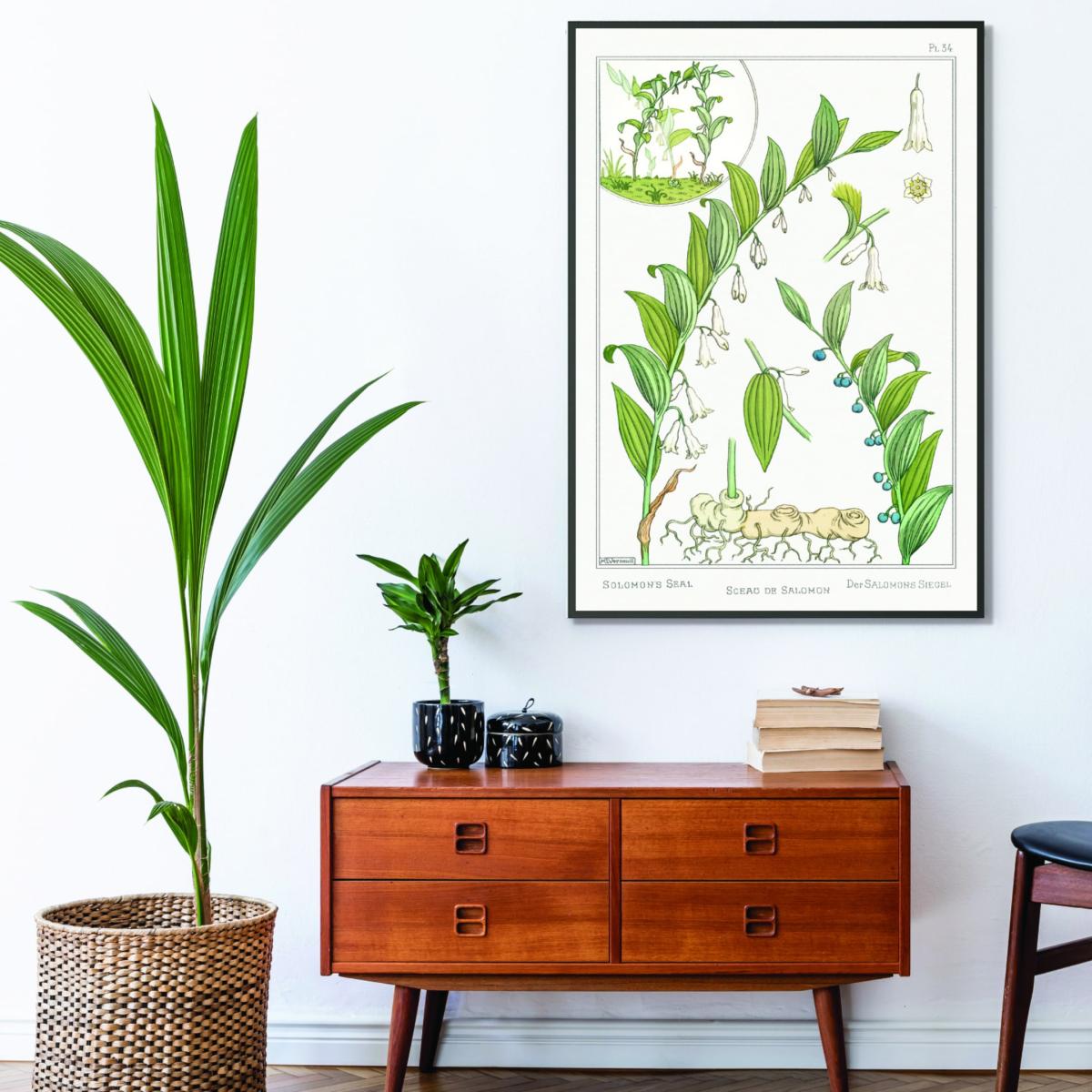 Green Sceau De Salomon - Solomon's Seal Ii By Maurice Pillard Verneuil A3 297 X 420Mm Stanley Print House – image 3
