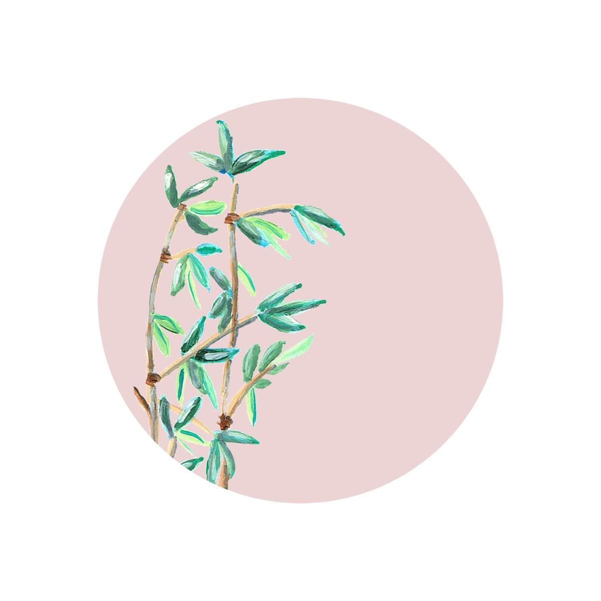 Neutrals Circle Wall Sticker Bamboo Pink Catchii – image 1