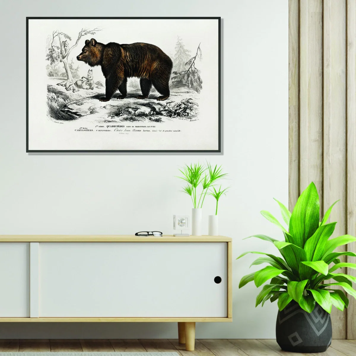 Brown Bear A4 210 X 297Mm Stanley Print House – image 3