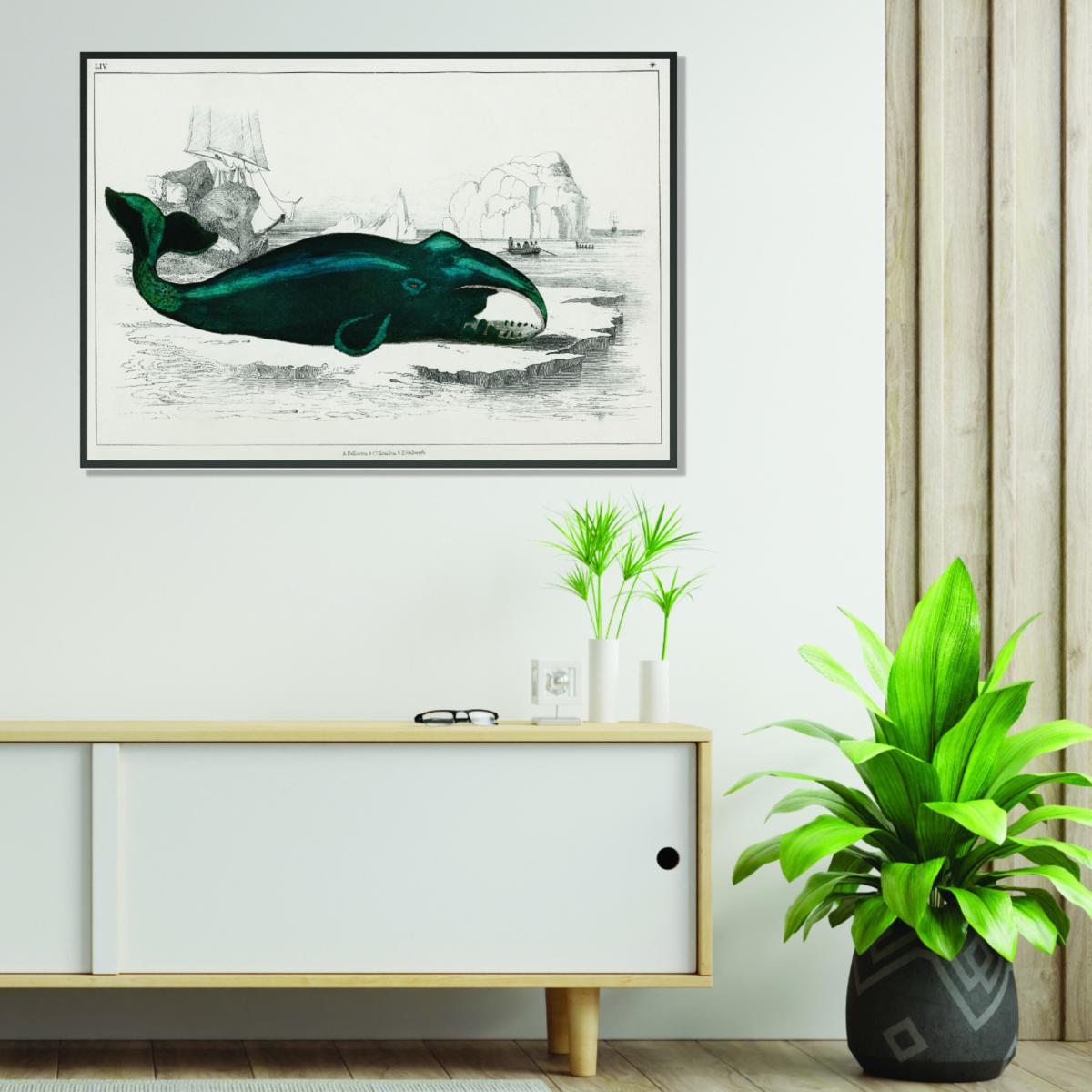 Blue Whale Illustration A4 210 X 297Mm Stanley Print House – image 3